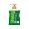 dettol-gold-liquid-hand-wash-daily-clean-200ml-bottle-dettol-1604-11-Dettol@47