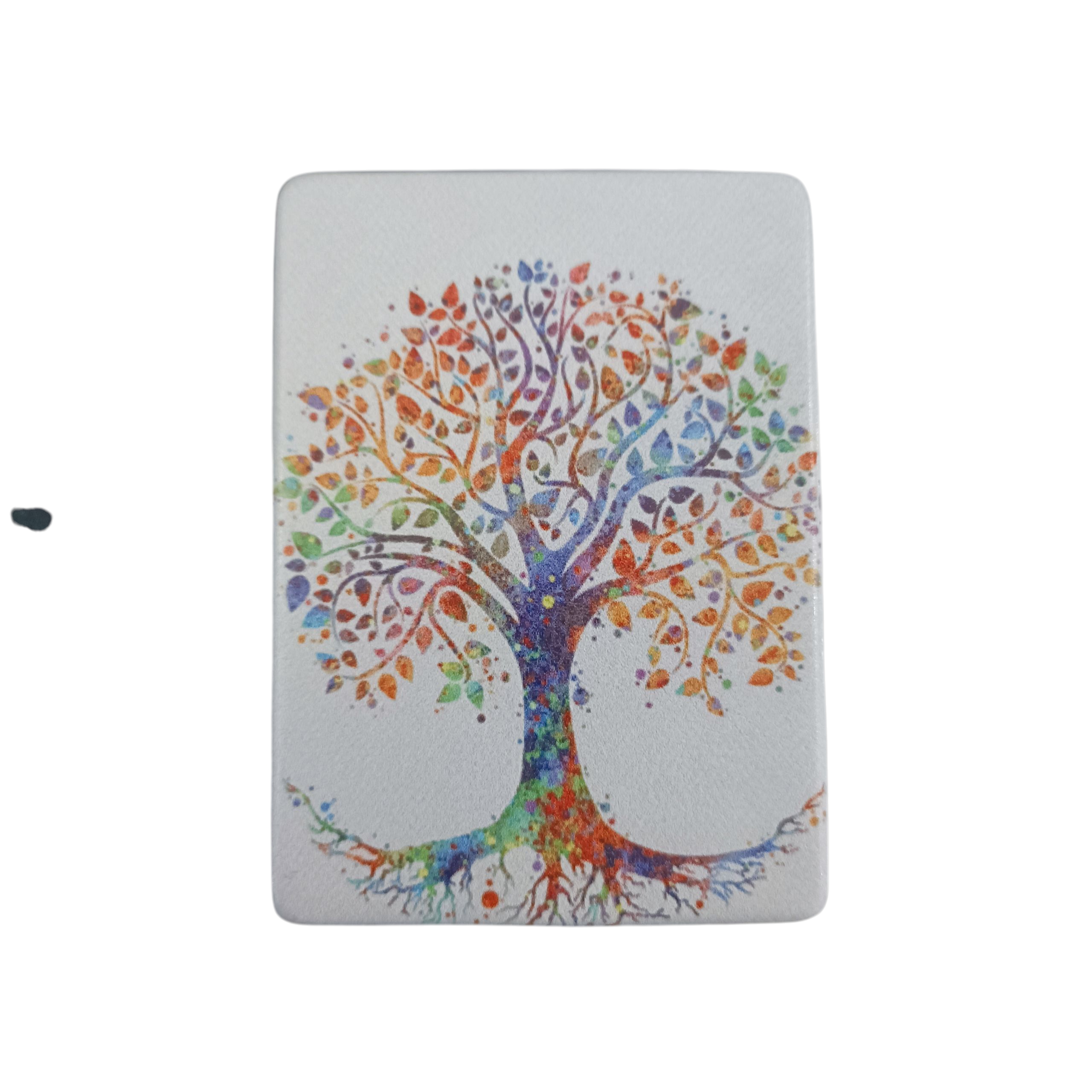 IMG_20251109_105856 (1)